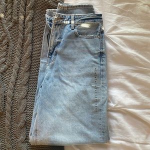 American Eagle Relaxed Mom Jean Campus Brights
